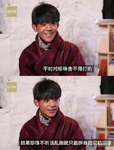 陈安之与大自然，探寻内心桃花源之旅